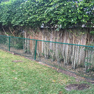 4 ft. green vinyl chain link fence