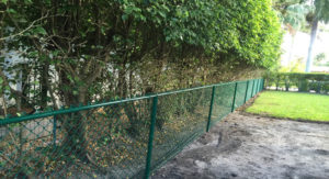 green vinyl fence in broward county