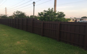 wood fence stained